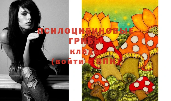 гашиш Новозыбков